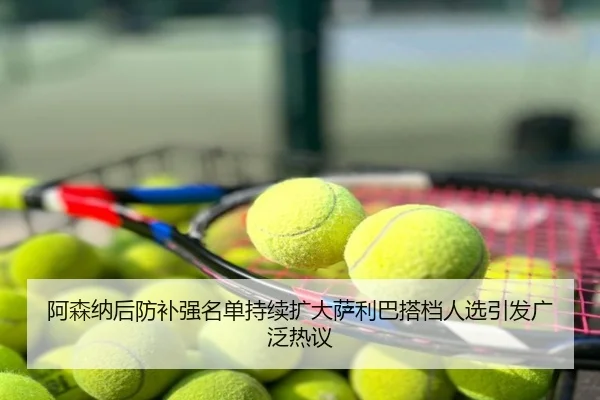 阿森纳后防补强名单持续扩大萨利巴搭档人选引发广泛热议