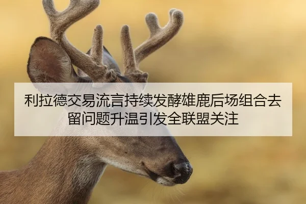 利拉德交易流言持续发酵雄鹿后场组合去留问题升温引发全联盟关注